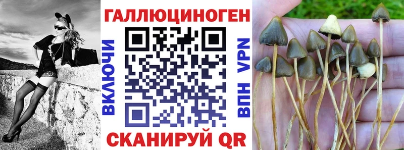 Купить где  Омутнинск  Галлюциногенные грибы ЛСД 
